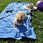 Sol Lua * 파티마