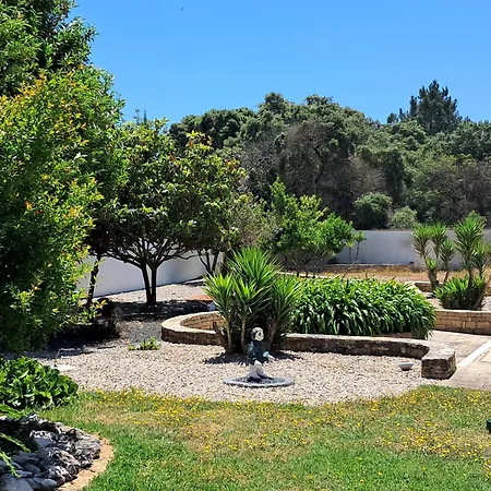 Апартаменты Sol Lua Apt Фатима