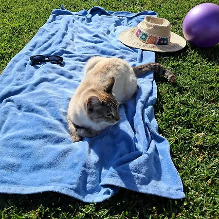 Sol Lua Apt Апартаменты *